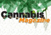 Cannabis Magazine