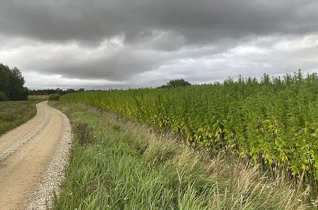 World Rally Championship | Rally de Estonia