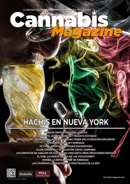 Portada Cannabis Magazine 213