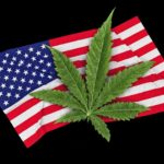 EEUU legaliza