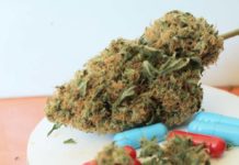 Variedades medicinales de cannabis