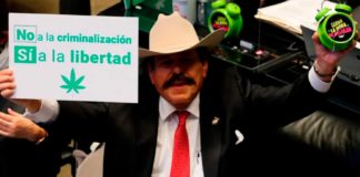 El Congreso de México prorroga la legislación del cannabis otros cuatro meses El Congreso de México prorroga la legislación del cannabis otros cuatro meses