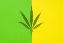 La legalización del cannabis en Nuevo México cada vez mas cerca Marijuana cannabis leaf.