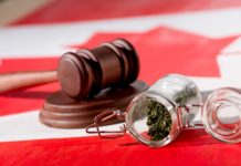 selective focus of cannabis in glass jar with wooden gavel on canadian flag, marijuana legalization