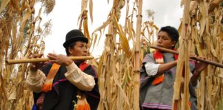 nativos colombianos