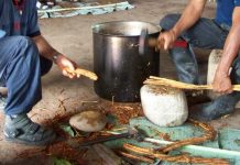 Descubre el poder transformador de la ayahuasca en la reducción del narcisismo Ayahuasca en la reducción del narcisismo