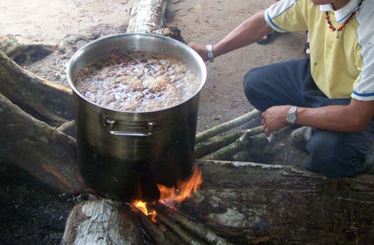 Preparando ayahuasca