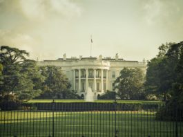 Cross Processed Image of the White House