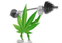 El consumo de cannabis se asocia con el aumento de la actividad física Cannabis character lifting heavy barbell
