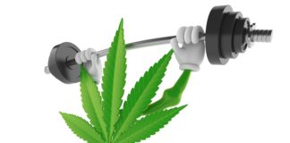 Cannabis character lifting heavy barbell