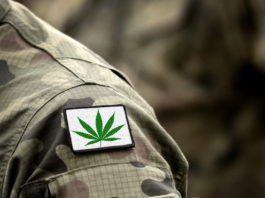 Cannabis leaf on military uniform. Flag with marijuana leaf. Cannabis legalization. Cannabis in Armed Forces.
