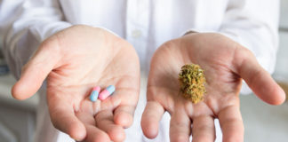 Doctor hand holding bud of medical cannabis and pills