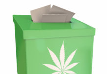 Los españoles están a favor de aprobar la marihuana Marijuana Pot Weed Cannabis Suggestion Box Vote Feedback 3d Illustration
