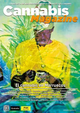 portada191