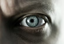 eye