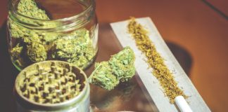Marijuana joint weed and grinder