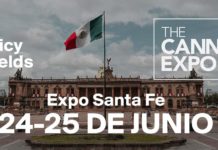 La primera Cannabis Expo llega a la Ciudad de México el 24 de Junio ¡Aquí le contamos cómo conseguir sus entradas! La primera Cannabis Expo llega a la Ciudad de México el 24 de Junio ¡Aquí le contamos cómo conseguir sus entradas!