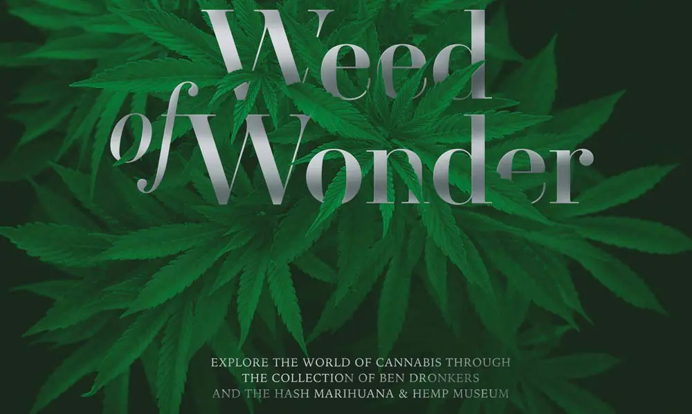 portada libro