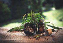 cbd, cannabidio, cbd oil