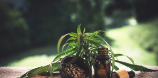 Cómo introducir el CBD en tu día a día cbd, cannabidio, cbd oil