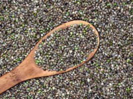 hemp, cannabis seeds, grains