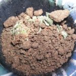 Variedades apropiadas para elaborar derivados del cannabis (II)