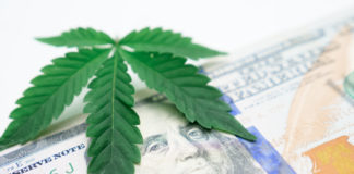 Close up photo of cannabis leaves on dollar bill