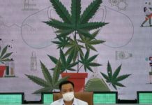 cannabis en tailandia