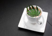 La Comisión Europea establece límites máximos de THC para los alimentos de cannabis hot cannabis coffee on the table