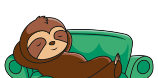 sloth, sleeping, animal