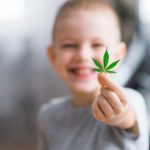 Smiling kid child holding a leaf of cannabis in the hands of a kid child . Concepts of using marihuna for medicinal purposes for children, Medical use of non-psychoactive cannabidiol CBD