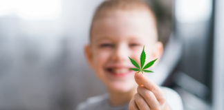 Smiling kid child holding a leaf of cannabis in the hands of a kid child . Concepts of using marihuna for medicinal purposes for children, Medical use of non-psychoactive cannabidiol CBD