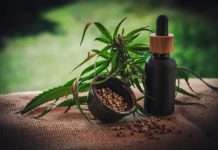 Ucrania aprueba lista de condiciones para acceder a la marihuana medicinal bajo la nueva ley de legalización cannabis medicinal