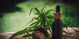 cannabis medicinal