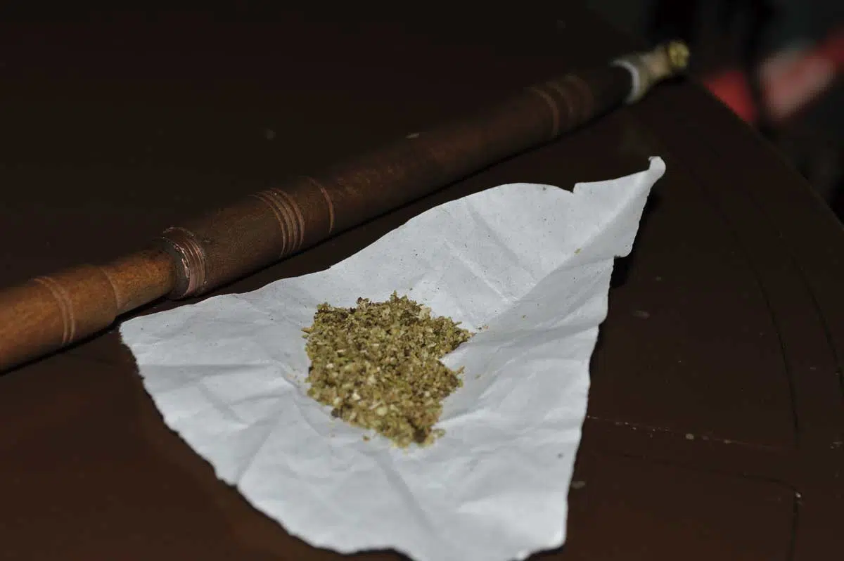 Derivados del cannabis: kifi