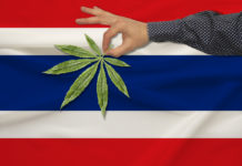 green leaf of cannabis in a man���s hand against the background of a colored state flag, the concept of legalization of drugs in the country