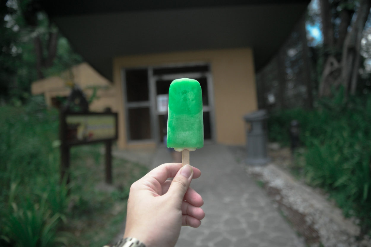 Person holding green ice pop
