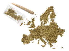 Weed in the shape of Europe and a joint.(series)