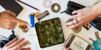 Los eurodiputados crean un grupo multipartidista para legalizar el cannabis para uso personal Cannabis light mini bulk