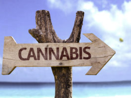 Cannabis wooden sign