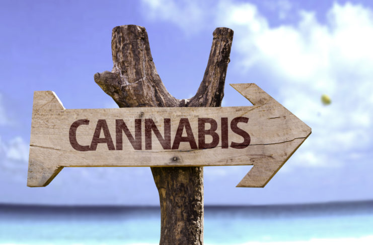 Cannabis wooden sign