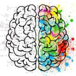 brain, mind, psychology