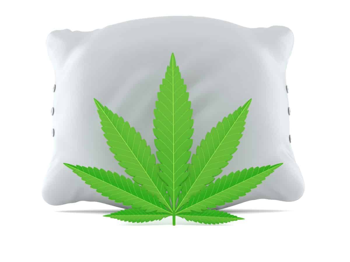 Cannabis leaf with pillow