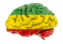 Human brain with Rasta flag colors. 3D rendering isolated on white background