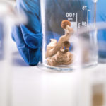 Psilocybin and Magic Mushrooms