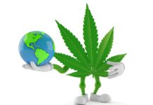 Cannabis character holding world globe