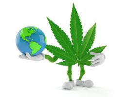 Cannabis character holding world globe