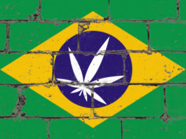 Graffiti street art spray drawing on stencil. Cannabis leaf on brick wall with flag Brazil