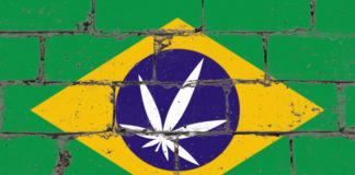 Graffiti street art spray drawing on stencil. Cannabis leaf on brick wall with flag Brazil
