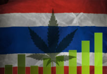 green leaf of hemp and national flag of thailand, concept of medical cannabis, legalization. Cannabis stock price infographic.Toned image.